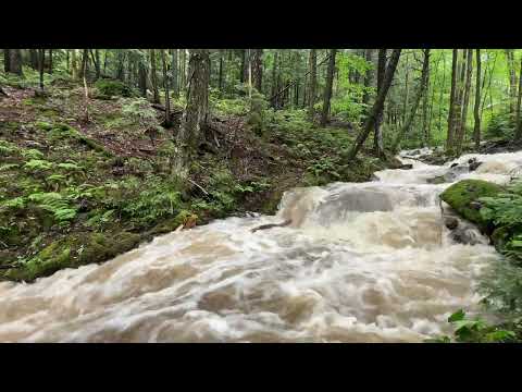 Authentic Rushing Stream for Sleeping. 8 Hours of Natural Multilayered Brown Noise