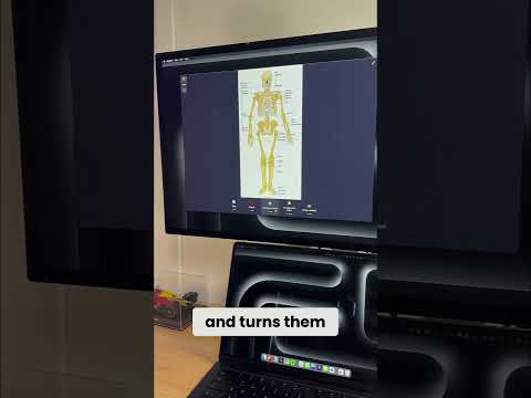 This AI App Turns Images into Flashcards