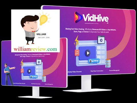 VidHive Review