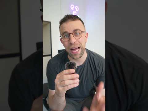Notion Planner arrives!