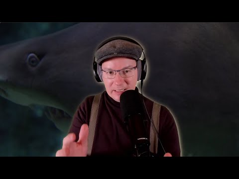 WP Offers 2023: New Background Effect! (images & videos)