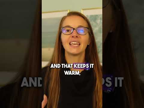 pre qualifying clients for free calls