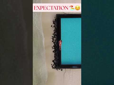 Expectations/Reality – Business Owner